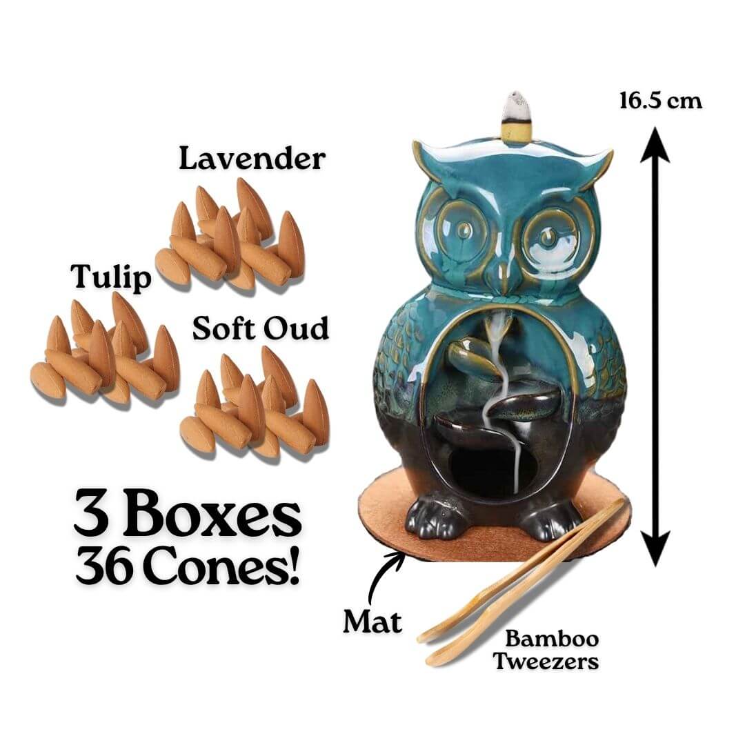 Glamorous Owl + 3 boxes of cones