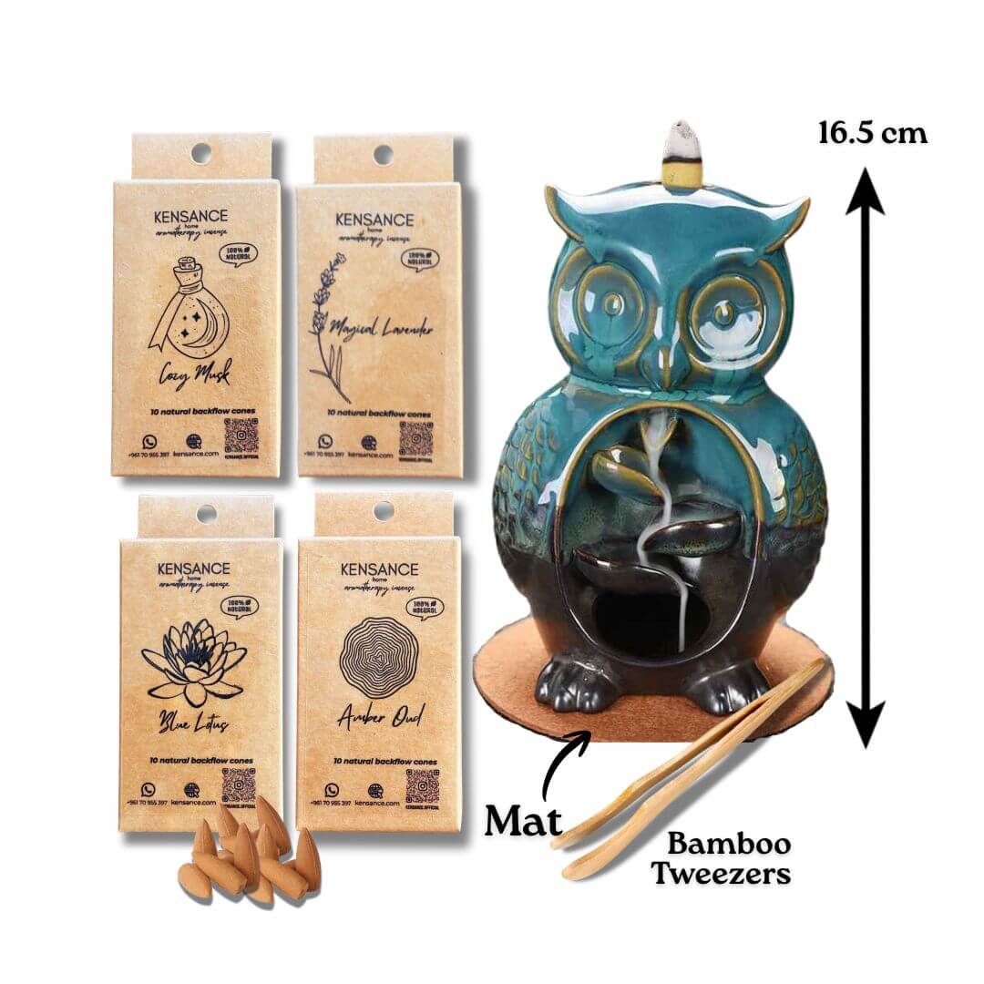Glamorous Owl + 4 boxes of big cones