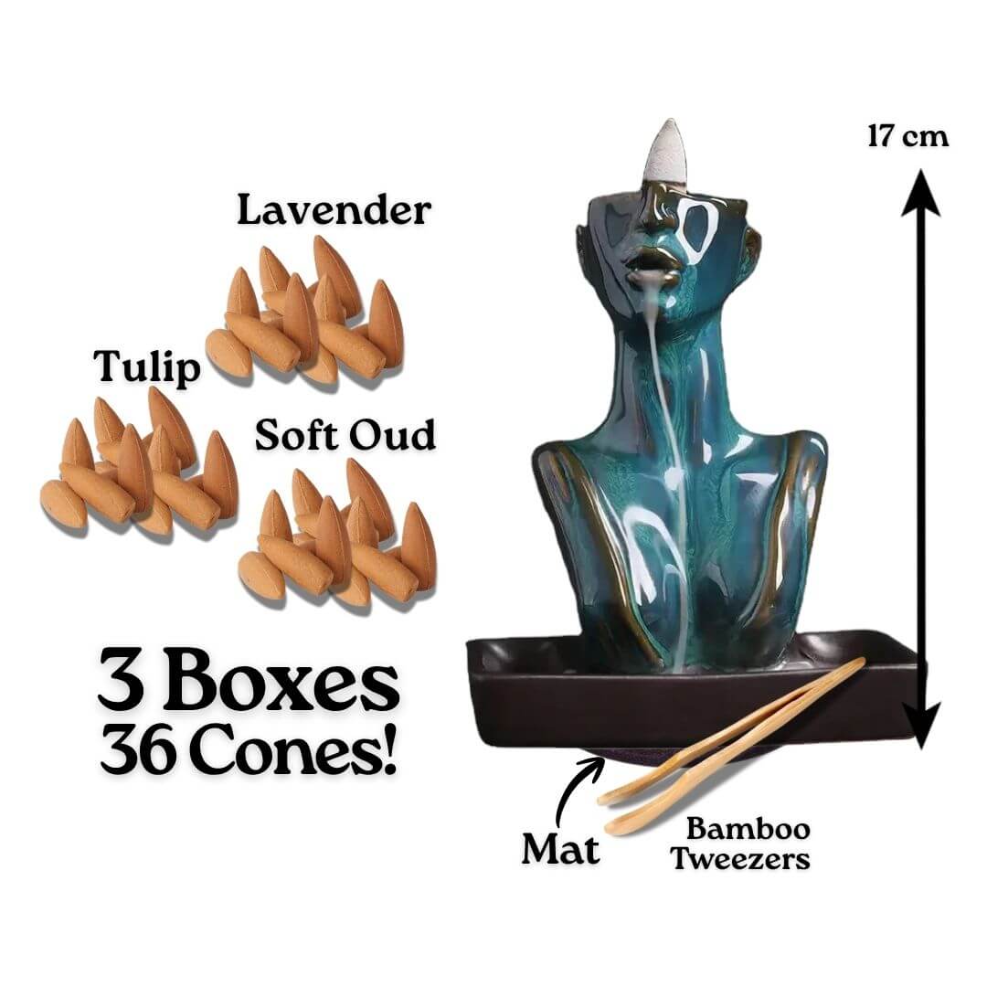 Whisper + 3 boxes of cones