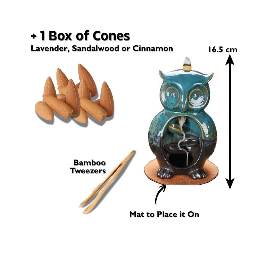 Glamorous Owl + 1 box of cones