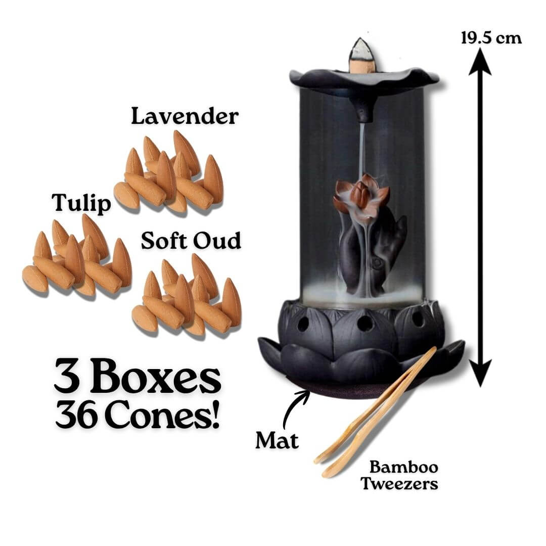 Eternal Lotus + 3 boxes of cones