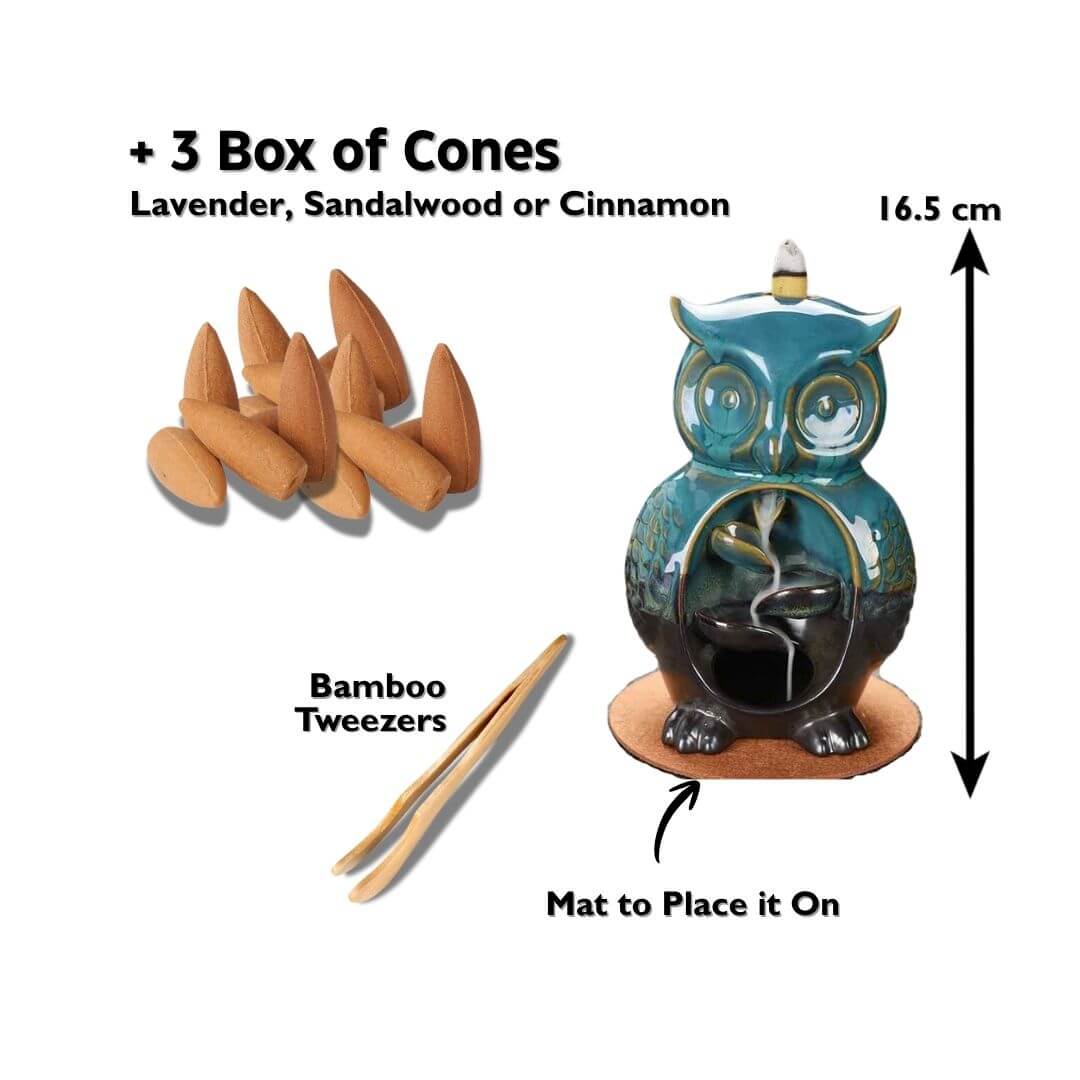Glamorous Owl + 3 boxes of cones