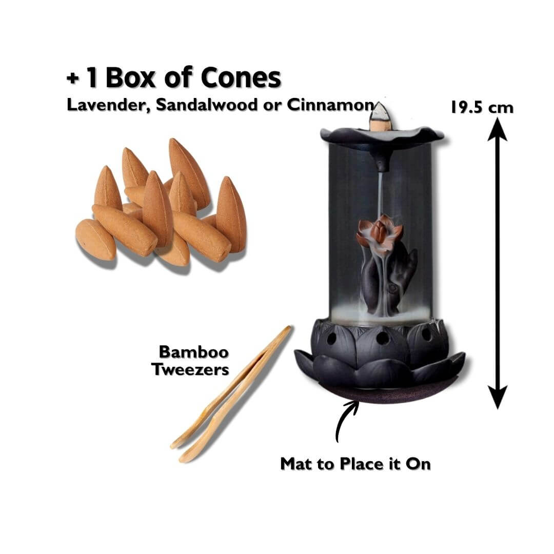 Eternal Lotus + 1 box of cones