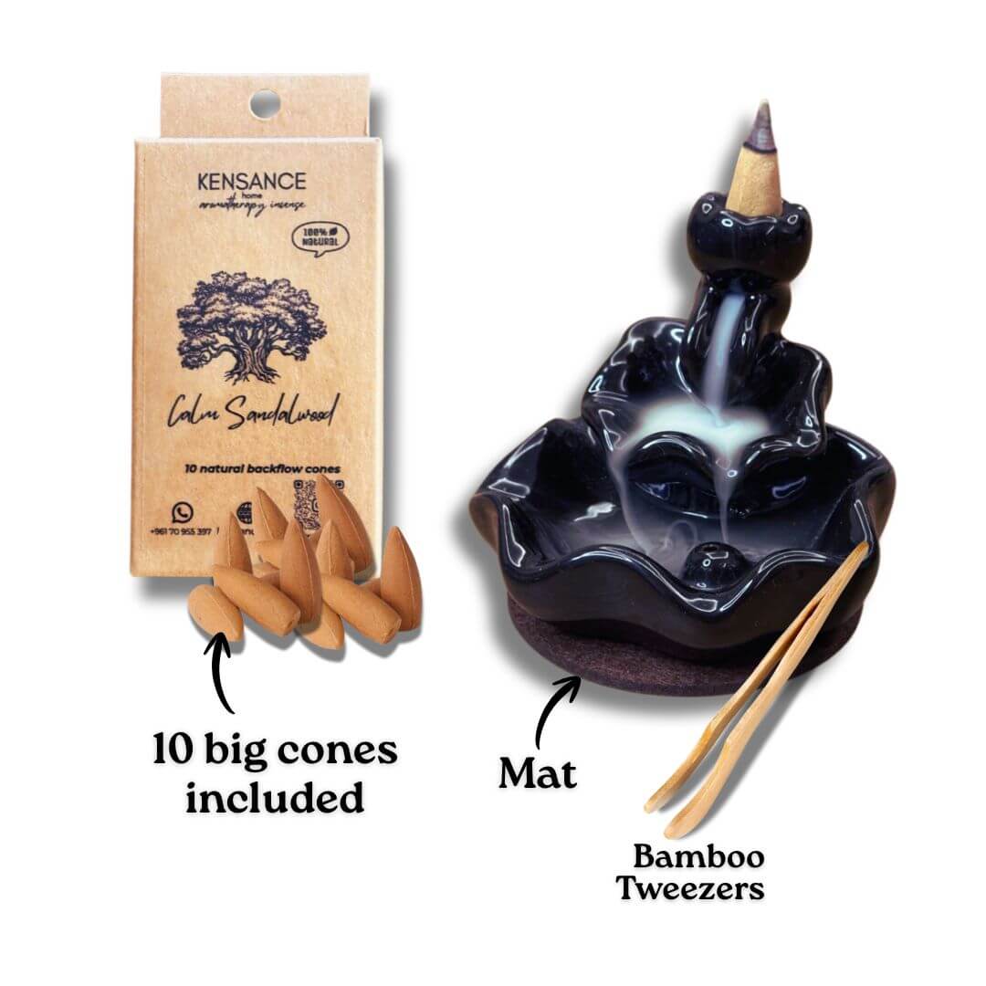 Starter Bundle (10 big cones included!)
