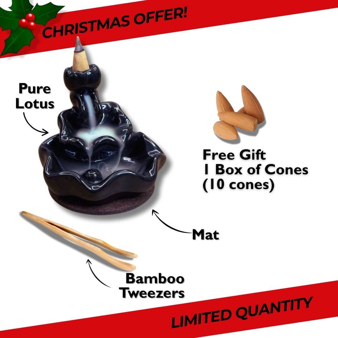 Pure Lotus +10 free cones - kensance